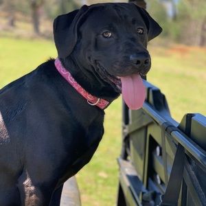 Meet your Posher, Parker